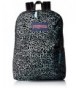 JanSport Stakes Backpack Water Lotus