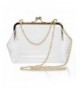 Crossbody Transparent Shoulder Clutch Removable