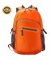 Backpack Resistant Bookbags Colapsable Lightweight